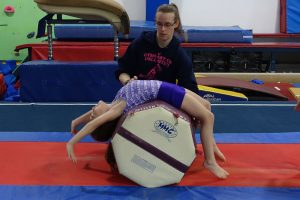 Gymnastics Unlimited A Safe Fun Place To Learn