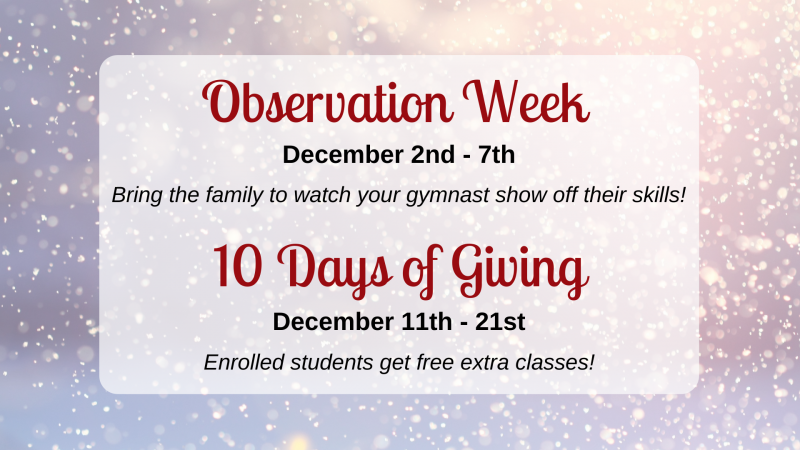 gymnastics unlimited december events gymnastics unlimited december events